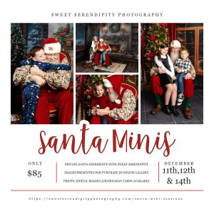 Sweet Serendipity Photography Santa Experience Sessions
