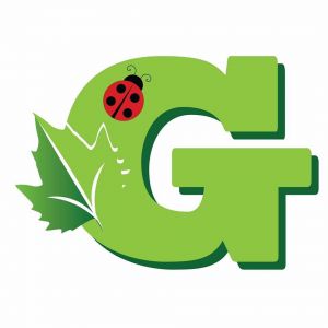 Greenfield Preschool Fall Festival