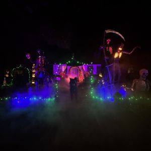 Junker Halloween Events