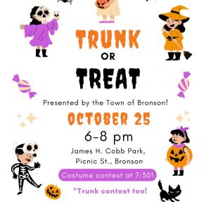 Town of Bronson Trunk or Treat