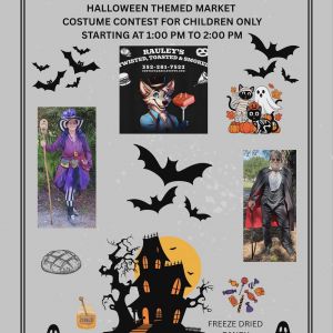 Mossman Hall Halloween Themed Market