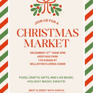 Wild B Boutique Christmas At The Park