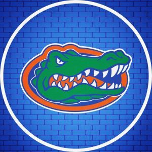 UF Gators Softball Winter Camps