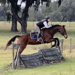 Haile Equestrian Cross Country Schooling