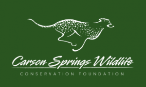Carson Springs Wildlife Christmas Walk or Ride Tour