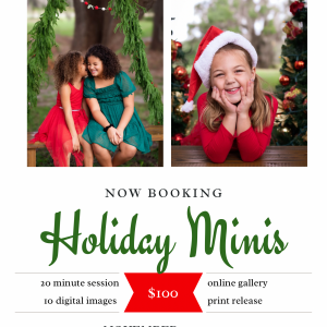 Kayli & Co. Photography Holiday Minis Photo Sessions