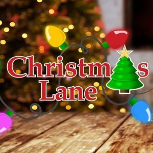 Christmas Lane at Plant City Strawberry Festival Grounds