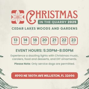 Cedar Lakes Woods and Gardens: Christmas in the Quarry