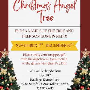 Rawlings Elementary Christmas Angel Tree