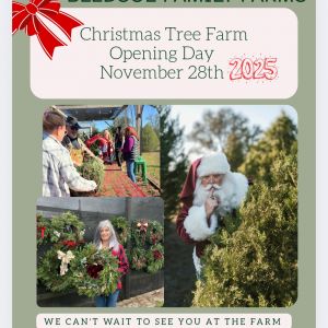 Bledsoe Family Farms Christmas Tree Farm