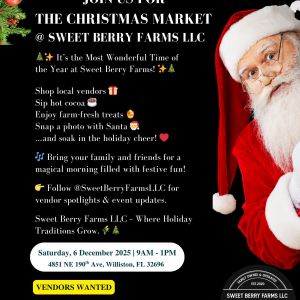 Sweet Berry Farms Christmas Market and Santa