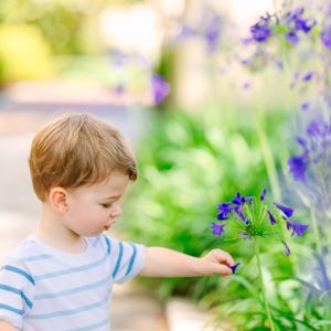 Jennifer Nicole Photography & Films Photo Mini Sessions