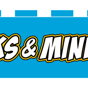 Bricks and Minifigs Parties