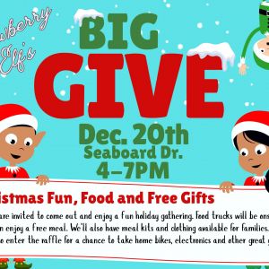 Newberry Elf’s Big Give