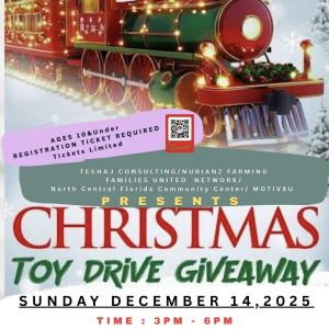 TeShaJConsulting Christmas Toy Drive Giveaway