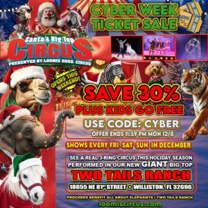Loomis Bros. Circus Cyber Week Deal