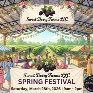 Sweet Berry Farms Spring Festival