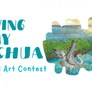 Alachua County Saving My Alachua Art Contest