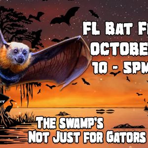 Lubee Bat Conservancy Florida Bat Festival
