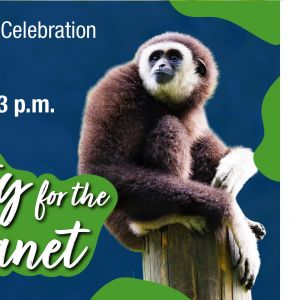 Santa Fe College Teaching Zoo: Party for the Planet