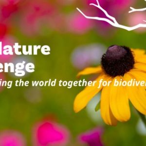 City Nature Challenge: Alachua County