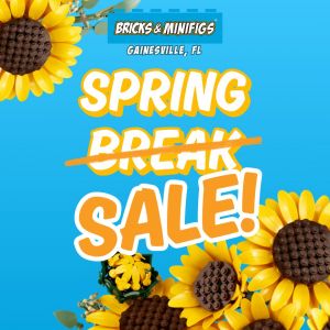 Bricks & Minifigs Gainesville Spring Break Sale