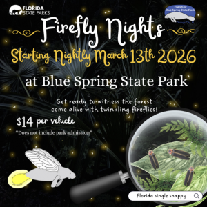 Blue Spring State Park Firefly Nights
