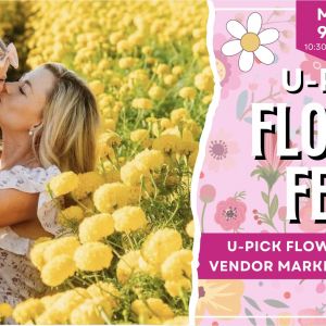 Branford Farm Stand U-Pick Flower Fest - Mother's Day Weekend