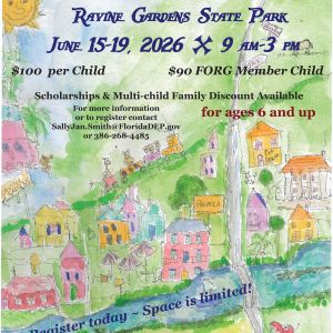 Ravine Gardens State Park: Build Your Dream Palatka A Box City Children’s Workshop