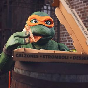 Gainesville's Ninja Turtle's and Superheroes