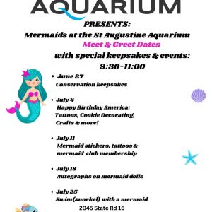 St. Augustine Aquarium: Mermaids Meet and Greet