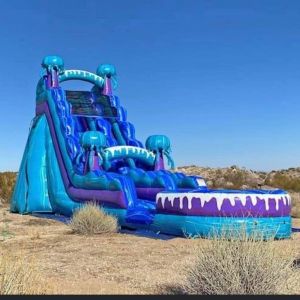 Bounce N Giggles