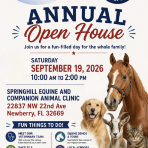 Springhill Equine and Companion Animal Veterinary Clinic Open House