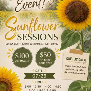 KEM Photography Sunflower Sessions