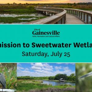 Sweetwater Wetlands Park: FREE admission