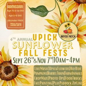 Bryer Patch Sunflower Festival