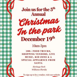 Wild B Boutique Christmas At The Park