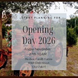 Bledsoe Family Farms Christmas Tree Farm