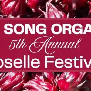 Frog Song Organics Roselle Festival