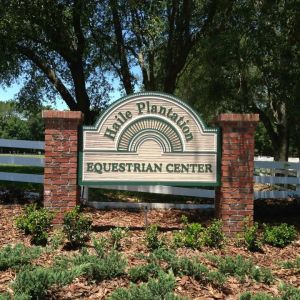 Haile Equestrian One Day Camps