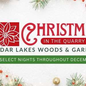 Cedar Lakes Woods and Gardens: Christmas in the Quarry