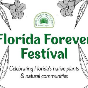 First Magnitude Brewing Company: Florida Forever Festival