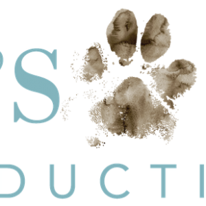 Cooper's Corner Productions