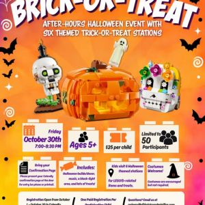 Bricks & Minifigs Gainesville: Brick or Treat