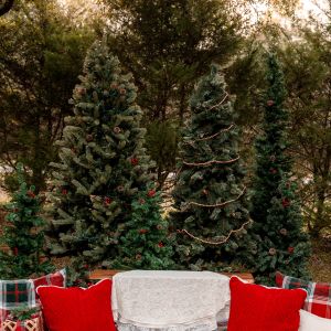 CM Photography Christmas Mini Sessions