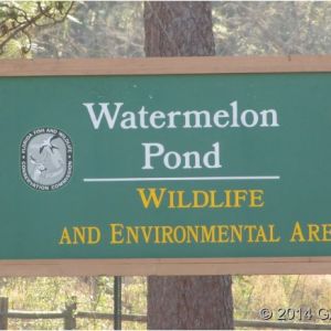 Watermelon Pond Wildlife and Environmental Area