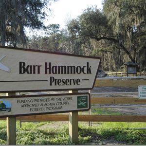 Barr Hammock Preserve