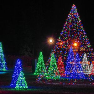 Gainesville Area Christmas Light Displays