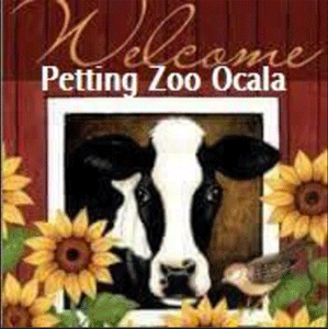 Ocala - Petting Zoo Ocala