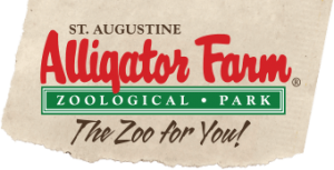 St. Augustine  - St. Augustine Alligator Farm Zoological Park